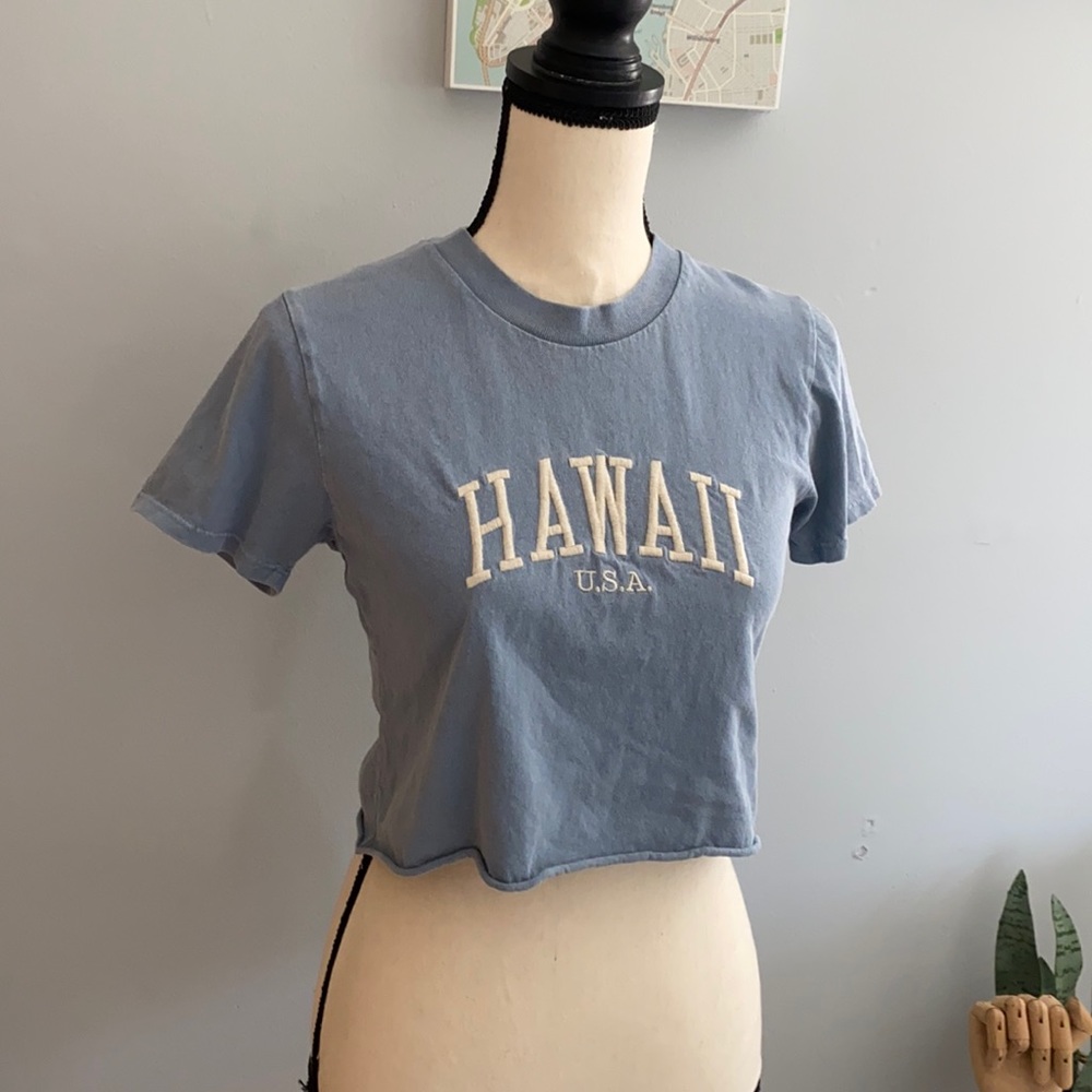 A light blue Brandy Melville crop top